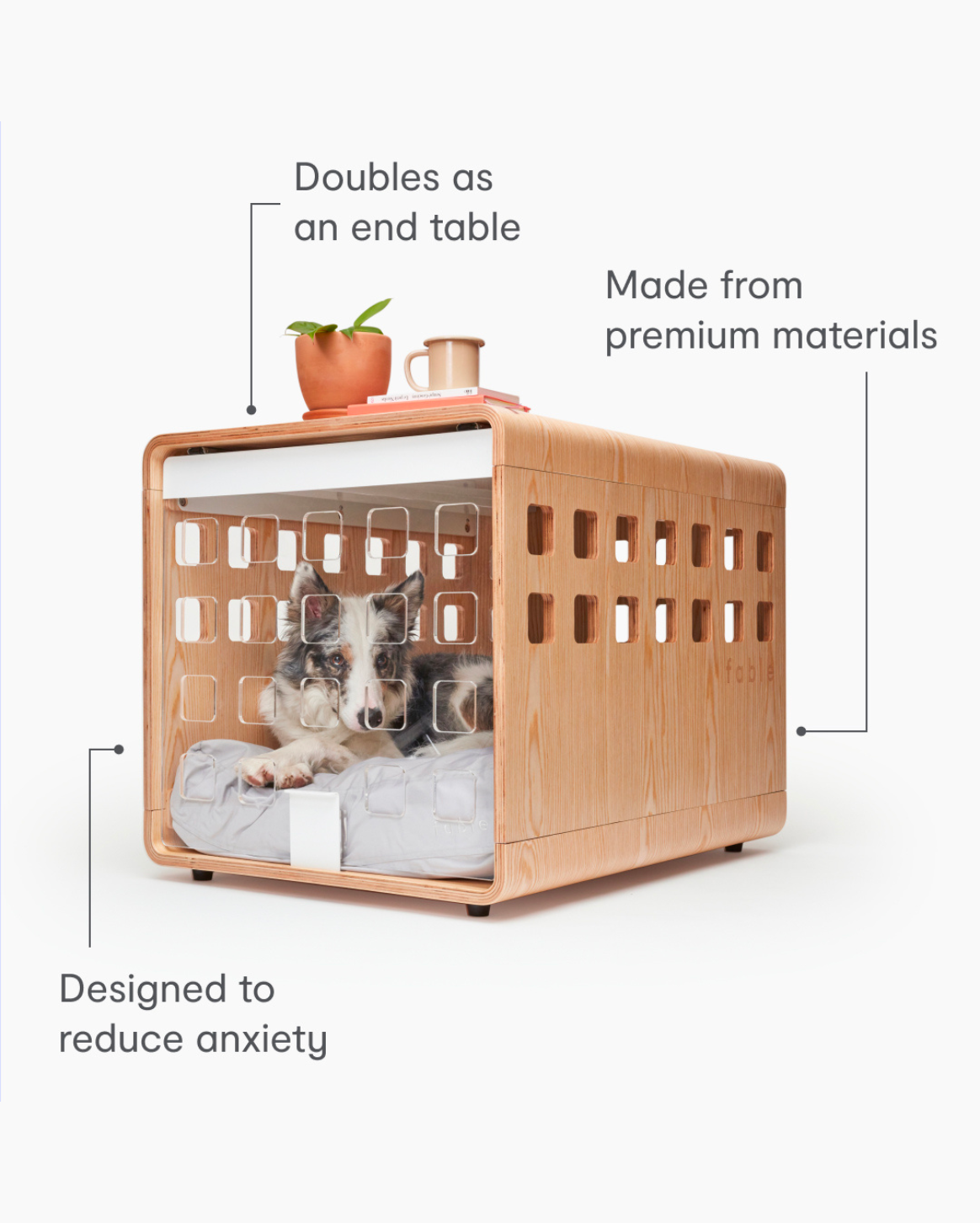 Transform Your Space, Elevate Your Pet's Life
