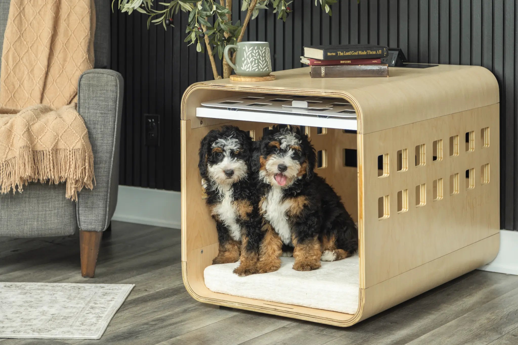 Two dogs sitting inside Noble Pet crate